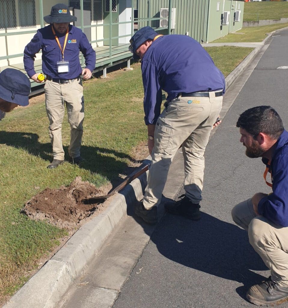 CDI Crew exhuming nest of dead fire ants in south east Queensland