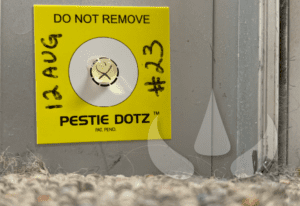Sundew Aussie Innovation_Pestie Dotz makes you money