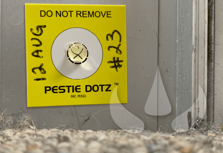 Sundew Aussie Innovation_Pestie Dotz makes you money