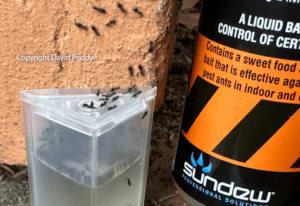 Sundew QuenchPRO Liquid ant bait-01