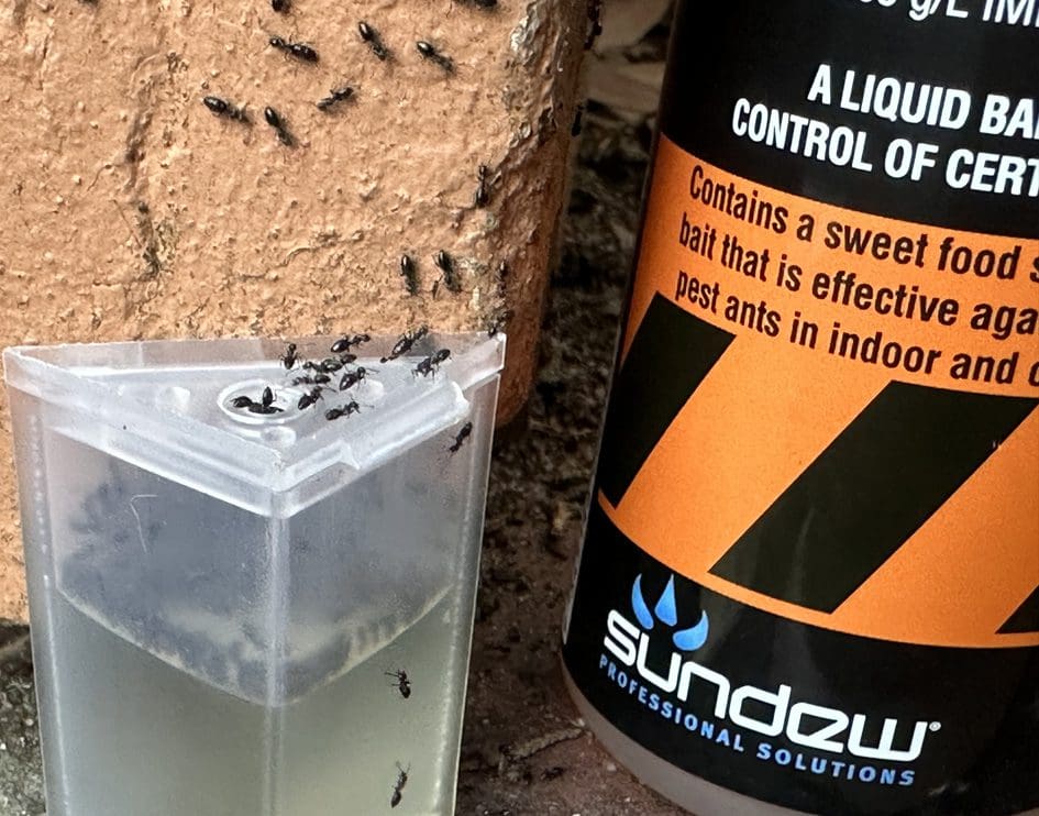 Sundew QuenchPRO Liquid Ant Bait