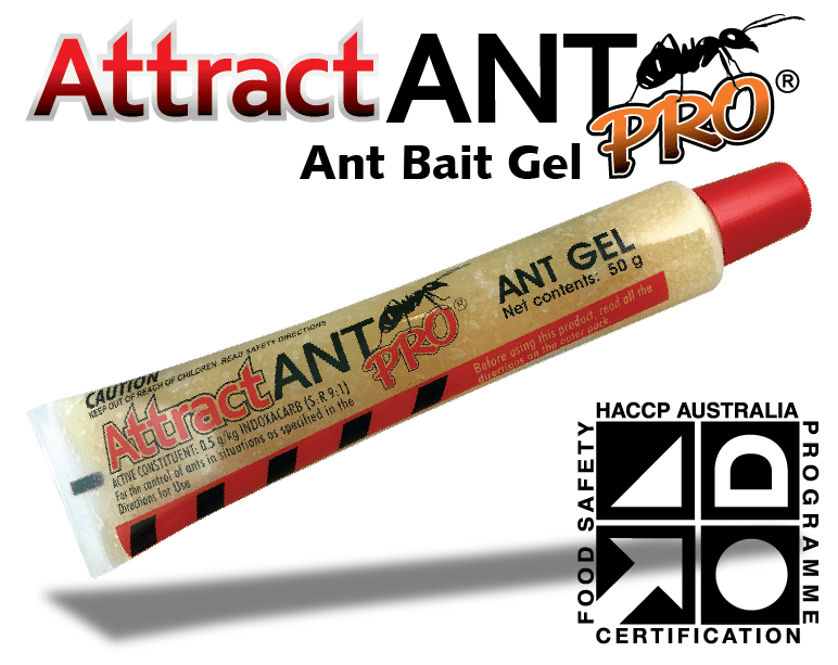 AttractANT PRO_HACCP Pack Shot-01