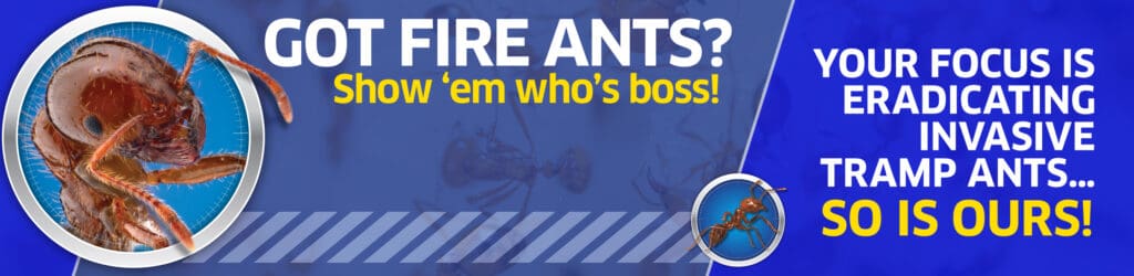 Sundew Solutions red imported fire ant solutions australia