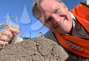 David Priddy Sundew Fire Ants Queensland-01