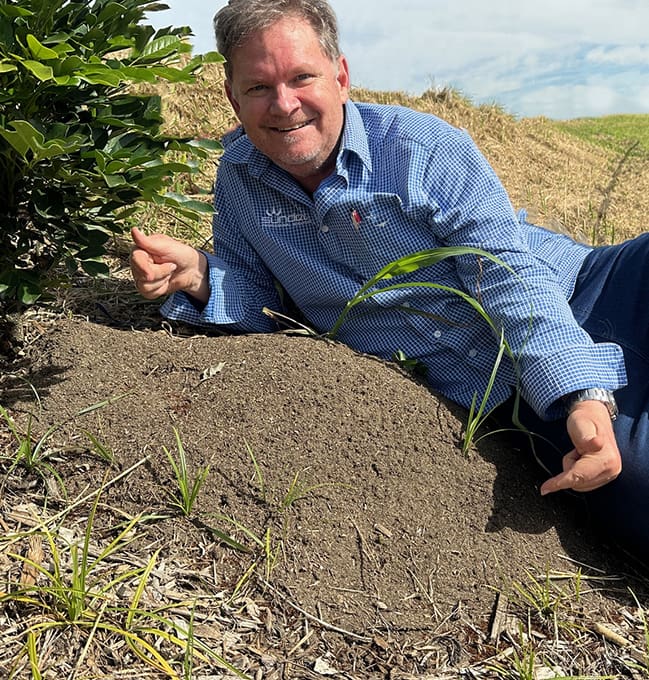 David Priddy Sundew Fire Ants Brisbane West 2024 - Copy