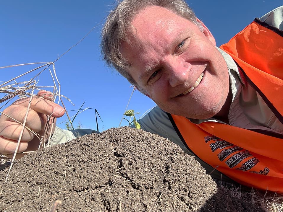 David Priddy Sundew Fire Ants up close n personal Brisbane West 2024